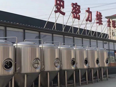 梁平精酿啤酒设备厂—市场规模与跨界新需求